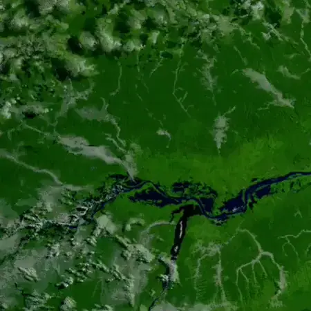 Monitoramento Contínuo - Geo Forest Token