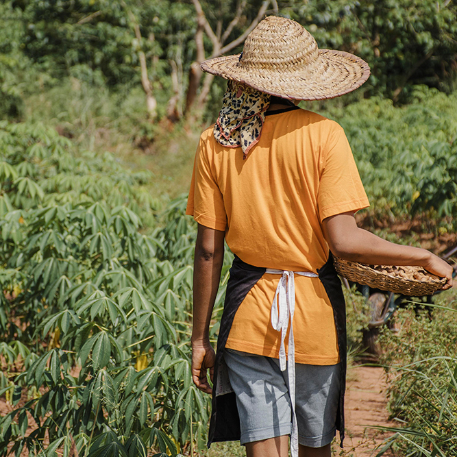 Retorno aos proprietários - Geo Forest Token